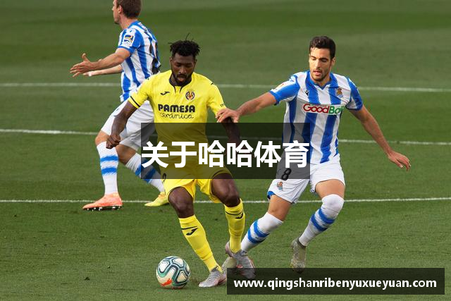 关于哈哈体育